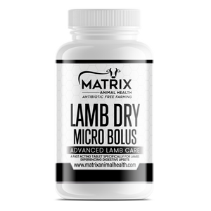 Lamb Dry Micro Bolus