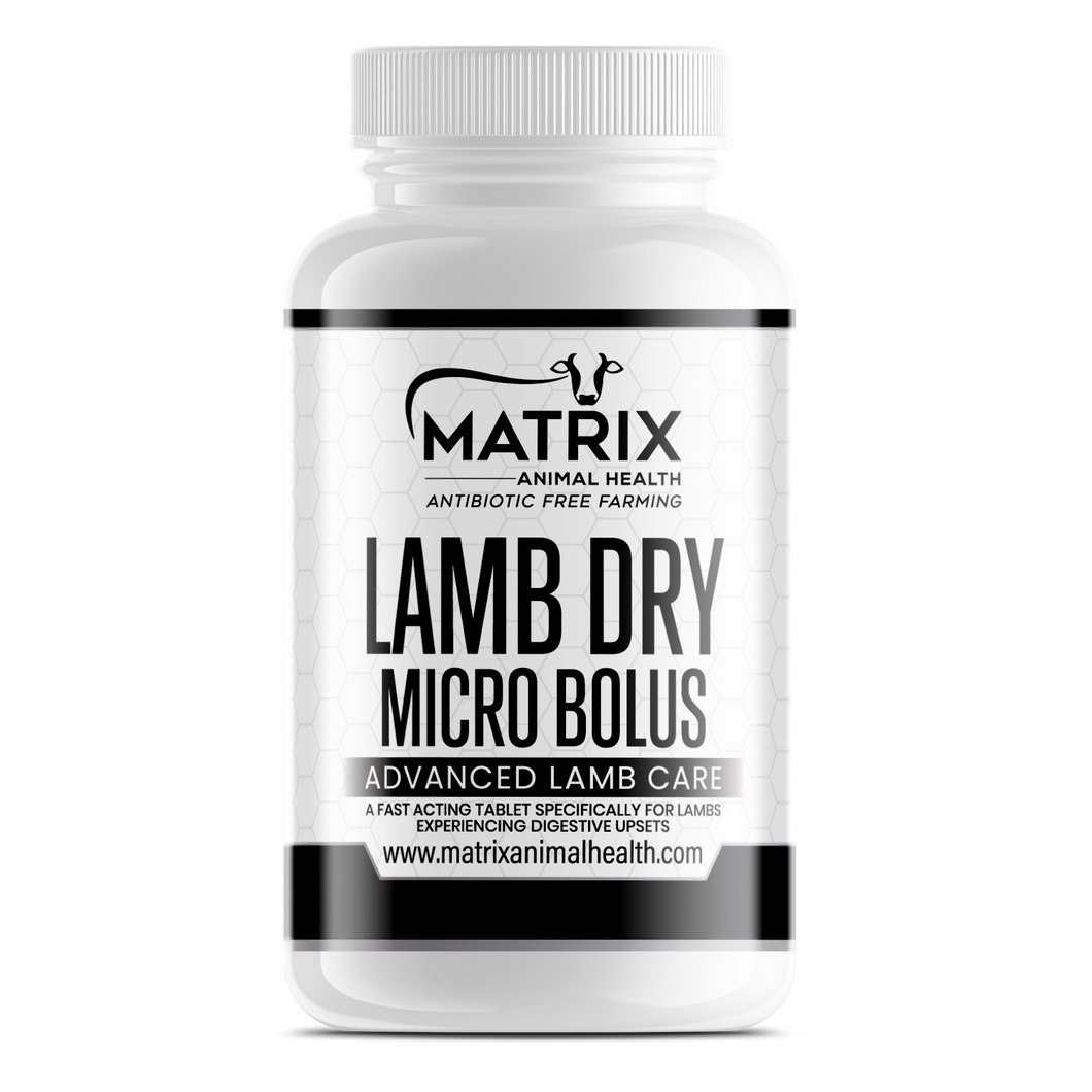 Lamb Dry Micro Bolus